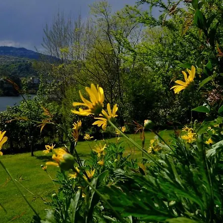 Quinta Das Fragas Daire