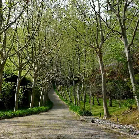 Quinta Das Fragas * Santa Cruz do Douro