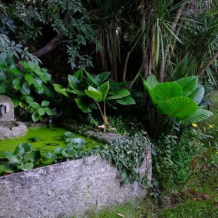 Quinta Das Fragas Daire *