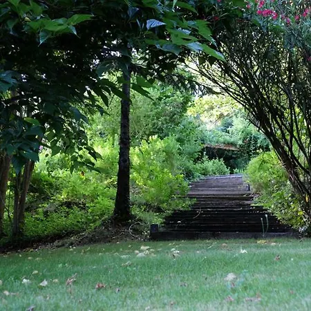 Daire Quinta Das Fragas