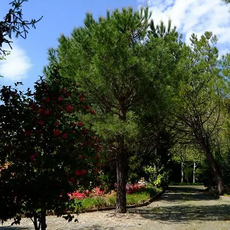 Quinta Das Fragas Daire